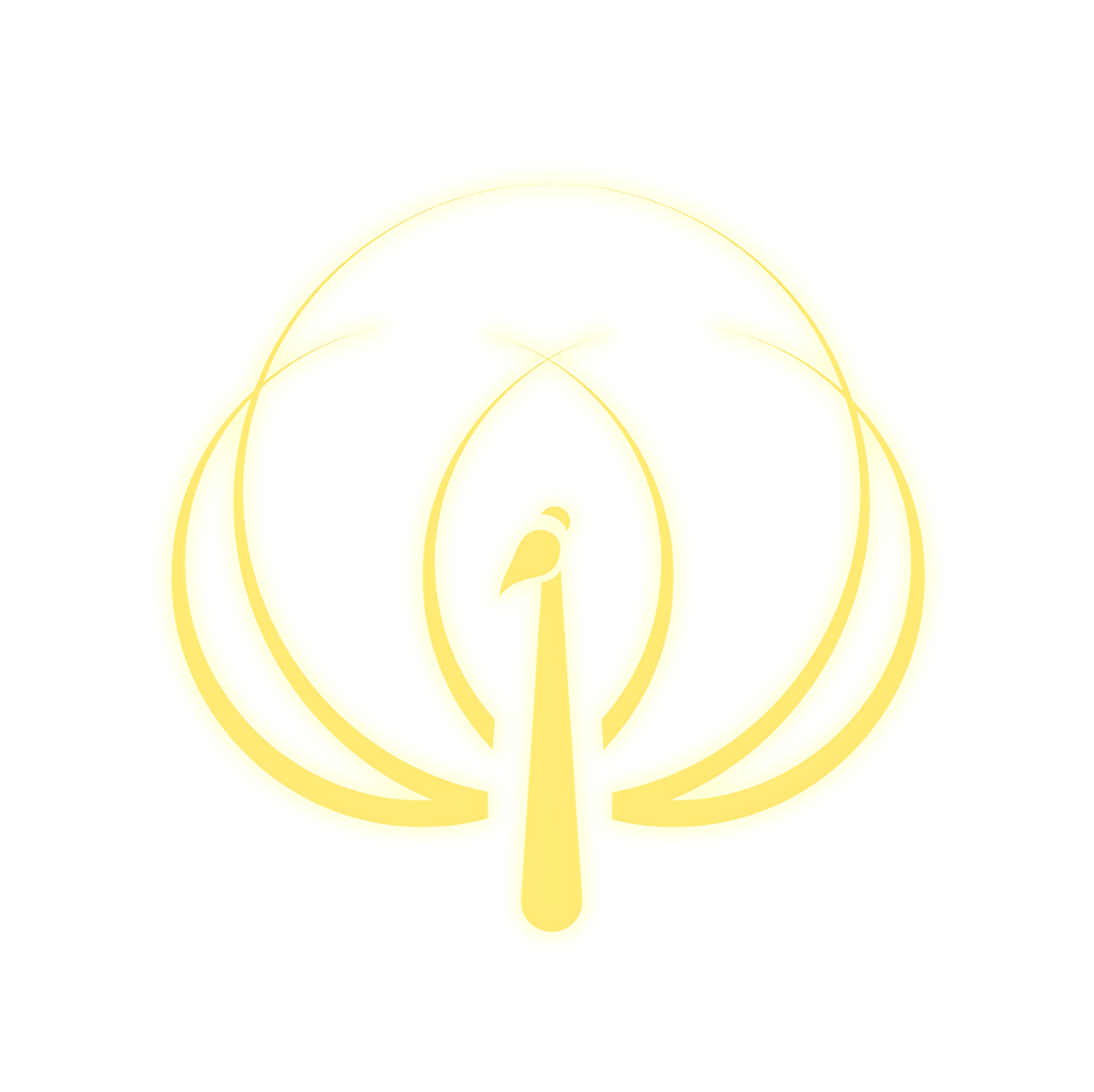 Catherine Vincent: Intuitive Energy Healer + Divine Blueprint Guide